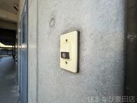 同型タイプ