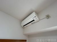 同型タイプ