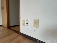 同型タイプ