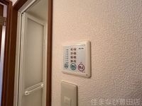 同型タイプ
