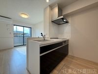 同型完成モデル