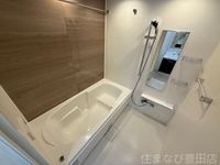 同型完成モデル