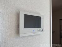 同型完成モデル