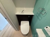 同型完成モデル