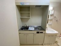 同型タイプ