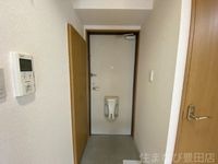 同型タイプ