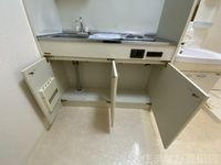 同型タイプ