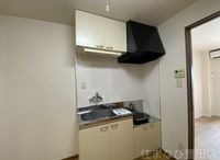 同型タイプ