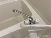 同型タイプ