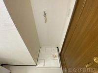 同型タイプ