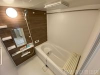 同型完成モデル