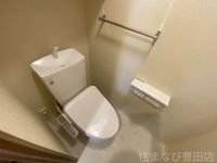 同型完成モデル