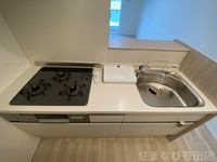 同型完成モデル