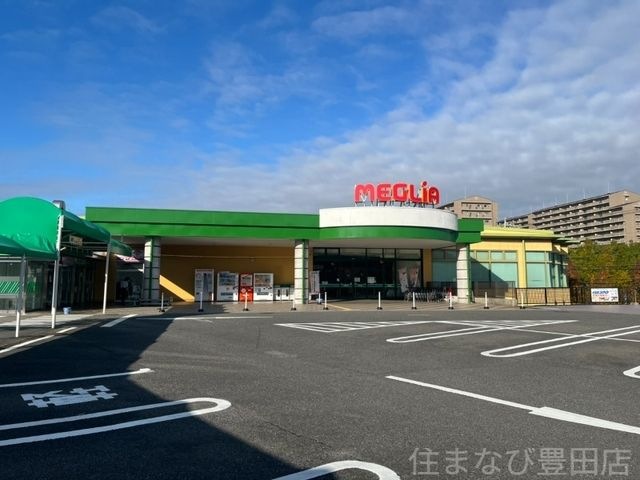 メグリア三好店