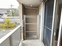 内観