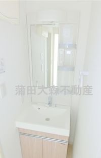 独立洗面台と室内洗濯機置き場 脱衣所 洗面所 トイレと洗面