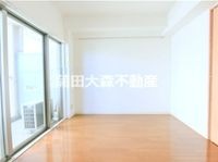 DK8帖