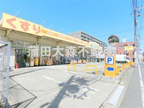 どらっぐぱぱす 下丸子店