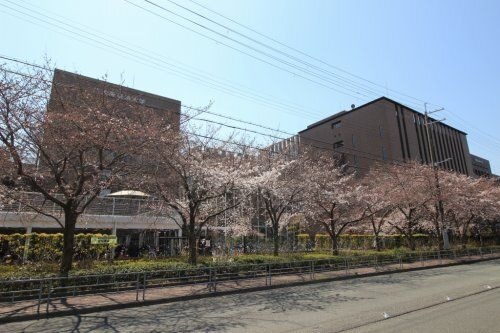 私立大阪経済大学