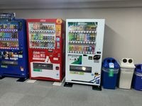 内観