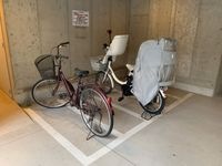 内観