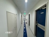 内観