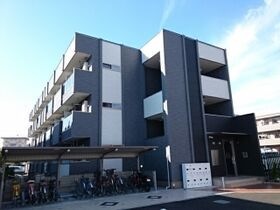 プラシードの外観