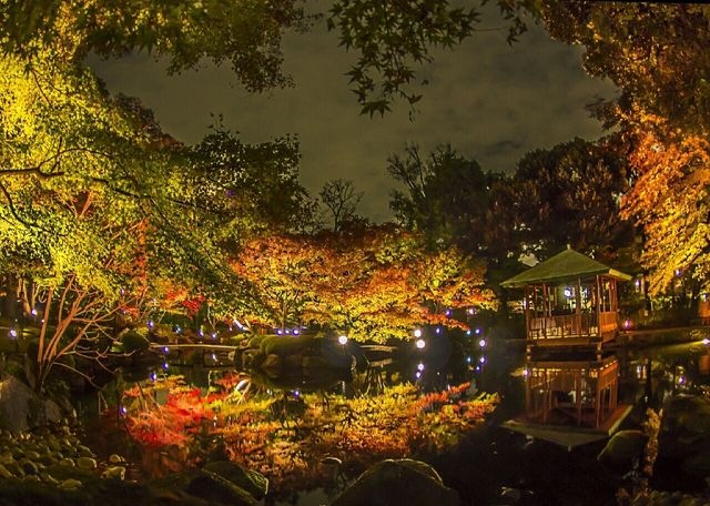 杉並区立大田黒公園