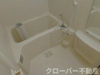 バス