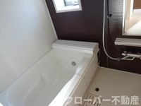 バス