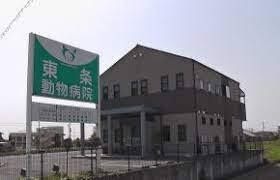 東条動物病院