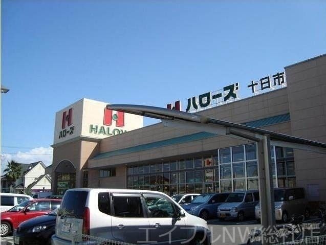 ハローズ総社店