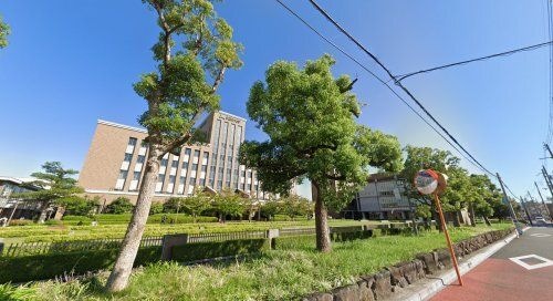 私立阪南大学