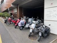 内観
