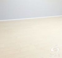 同仕様