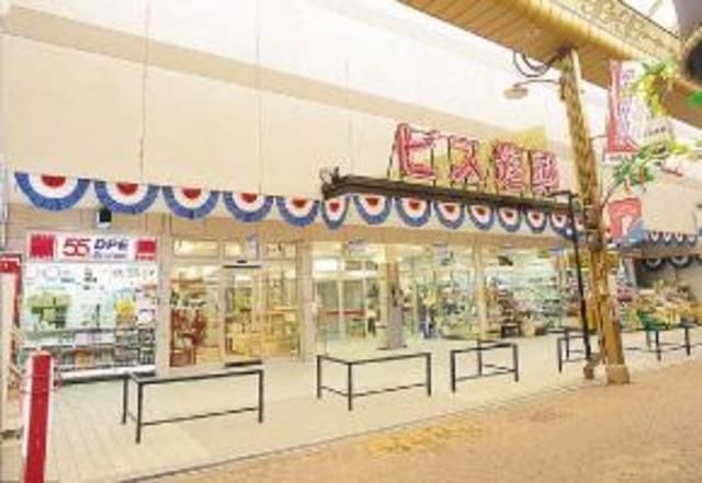ビス進興