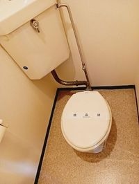 ゆったりとした空間のトイレです