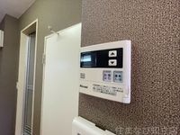 同型タイプ