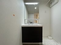同型完成モデル
