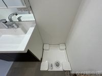 同型完成モデル