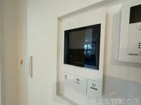 同型完成モデル