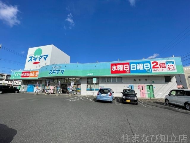 写真：ドラッグスギヤマ安城店