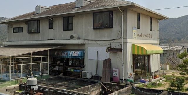 写真：ペットショップ正宗