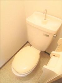落ち着いたトイレです