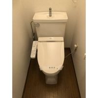 落ち着いた色調のトイレです