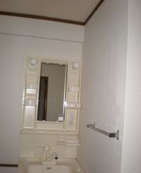 忙しい朝には欠かせない洗面所です