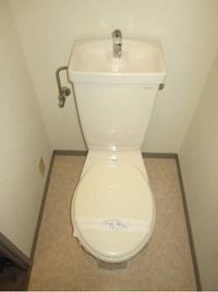 落ち着いた色調のトイレです