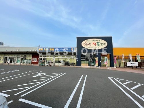 写真：JAあいち知多 グリーンプラザおおぶ(知多の旬菜農場)