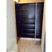 同型