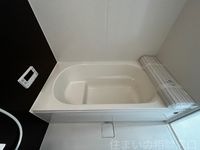 バス